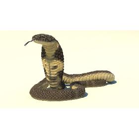 3D model King Cobra Rigged Animated